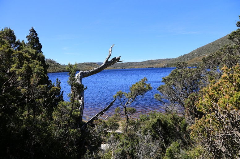 Dove lake