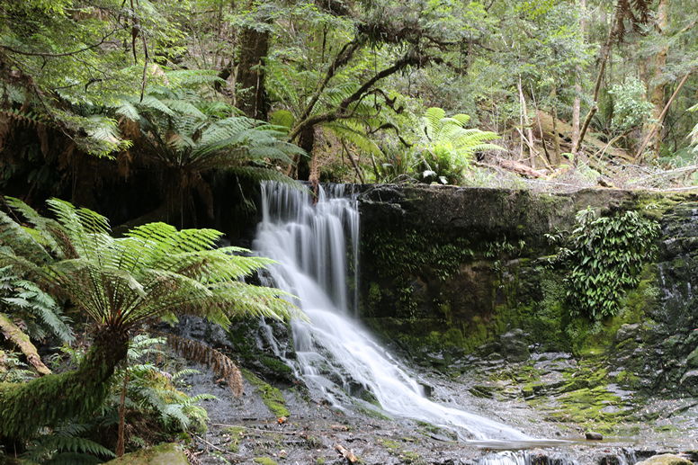 Horseshoe Falls 